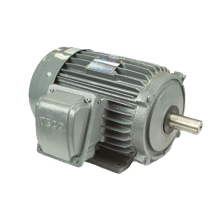 Động cơ điện motor TECO AESV1S-0.75