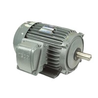 Động cơ điện motor TECO AESV1S-4